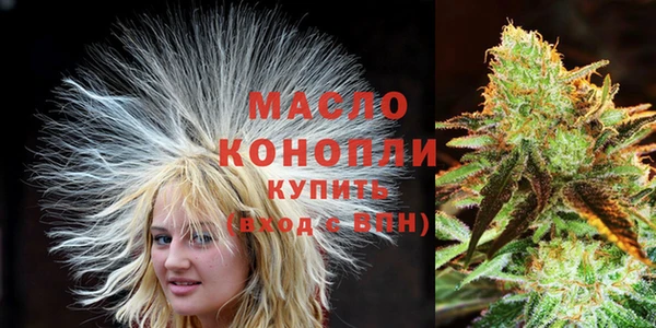 спайс Корсаков