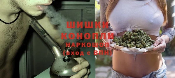 спайс Корсаков