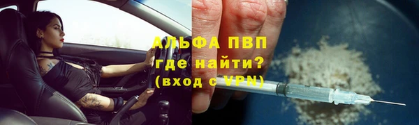 спайс Корсаков