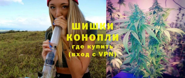 спайс Корсаков