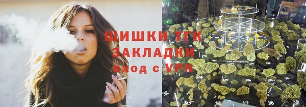спайс Корсаков